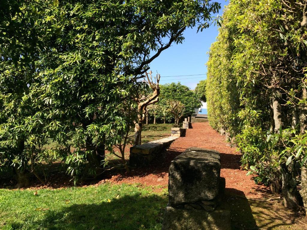 Quinta De Santa Clara Villa Ponta Delgada Eksteriør bilde