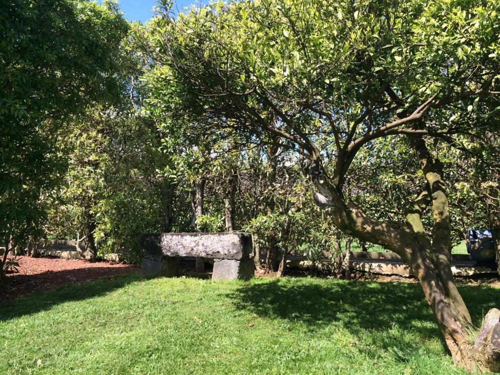 Quinta De Santa Clara Villa Ponta Delgada Eksteriør bilde