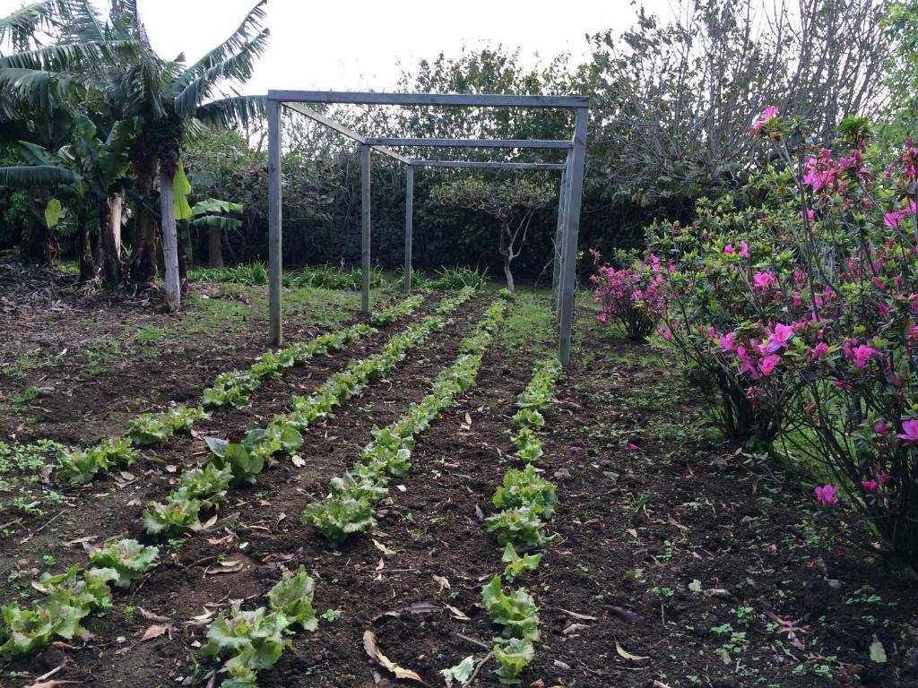 Quinta De Santa Clara Villa Ponta Delgada Eksteriør bilde